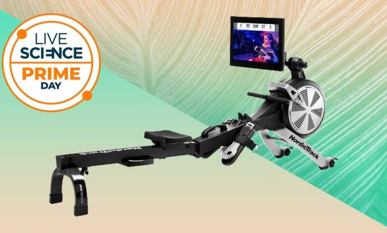 Ahorre más de $600 en esta excelente máquina de remo de NordicTrack 1 NordicTrack Smart Rower