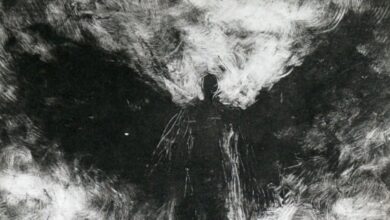 El Mothman en Virginia Occidental y la aterradora historia real detrás de él 13 El Mothman en Virginia Occidental y la aterradora historia real detrás de él