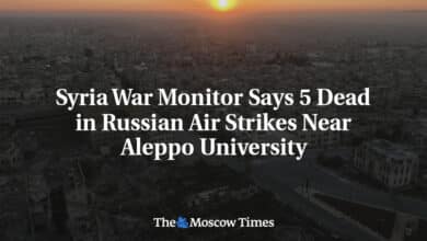 El observador de la guerra en Siria dice que los
