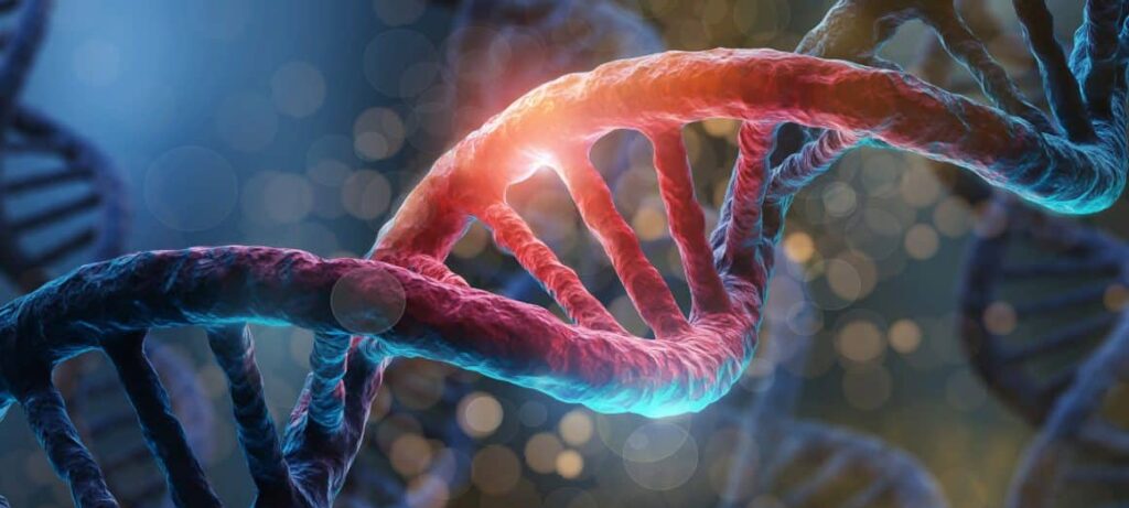 El Papel de la Epigenética en las Enfermedades Neurodegenerativas 3 la epigenética en las enfermedades neurodegenerativas