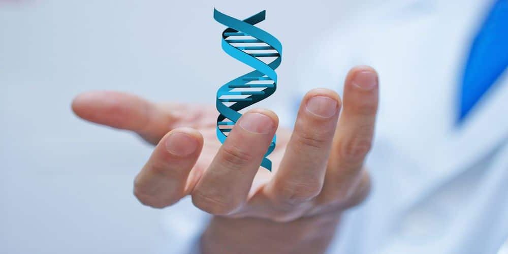 El Papel de la Epigenética en las Enfermedades Neurodegenerativas 2 la epigenética en las manos