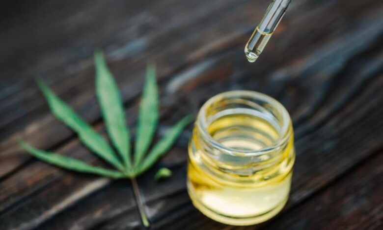 Acercándonos al mundo del CBD en España-Panorama legal y tendencias de consumo