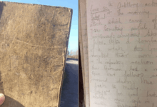 Desgarrador diario de la Primera Guerra Mundial encontrado en un granero por un soldado británico 11 Desgarrador diario de la Primera Guerra Mundial encontrado en un granero por un soldado británico