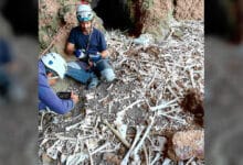 Hallados 72 esqueletos y momias en antigua tumba de Guanchedong 10 Hallados 72 esqueletos y momias en antigua tumba de Guanchedong