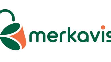 Los 4 pilares de tu ecosistema digital: tecnología que simplifica tu vida 7 Los 4 pilares de tu ecosistema digital tecnología que simplifica tu vida