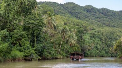 When Climate Lies Kill: Red-Tagging Indigenous Defenders in the Philippines