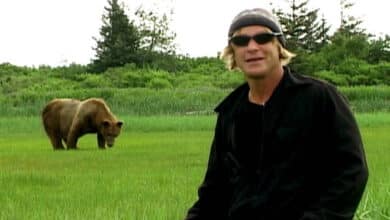 'Hombre Grizzly' devorado vivo por un oso