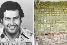 ¿Cuál es el patrimonio neto real de Pablo Escobar?