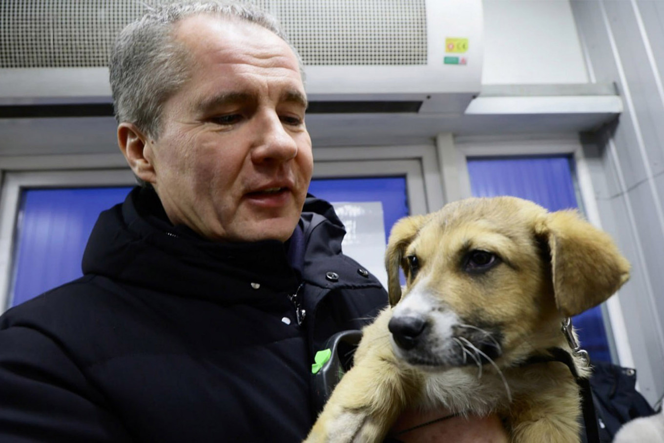 
El entonces gobernador Vyacheslav Gladkov hizo preparativos de relaciones públicas durante una visita al refugio de animales de Belgorod en enero. @vgladkov/telegrama				