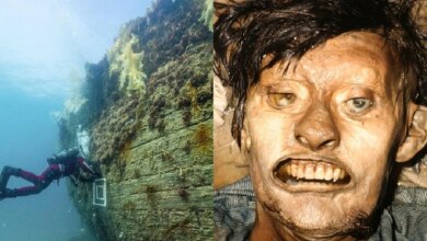 HMS Terror: el barco condenado de la expedición de Franklin de 1845