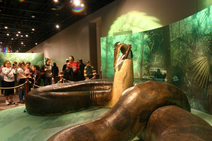 11 increíbles animales prehistóricos 3 titanosaurio
