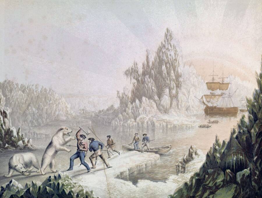 La expedición Franklin perdida en el Ártico canadiense 9 La tripulación lucha contra el oso polar
