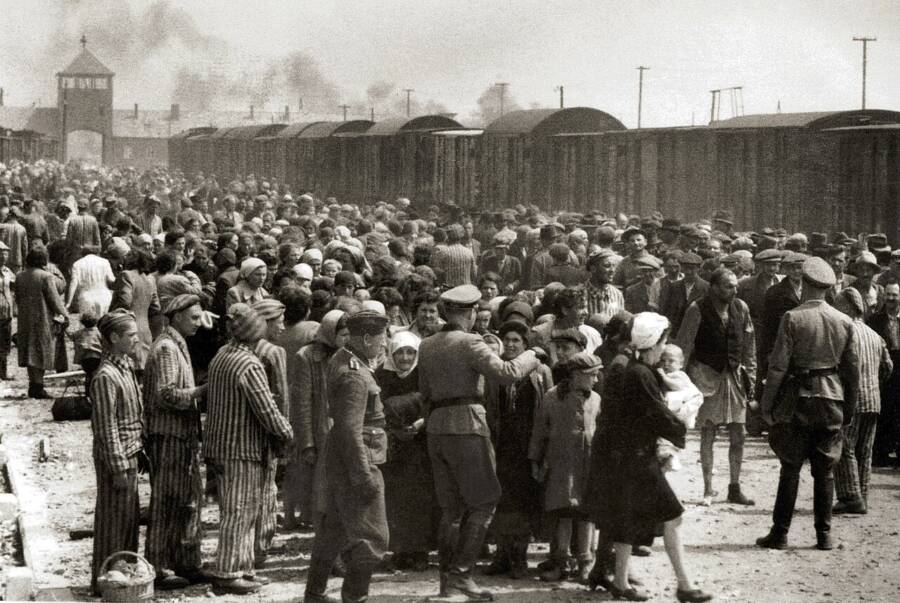 Gisella Perl, la médica judía que salvó vidas en Auschwitz 4 campo de concentración de auschwitz