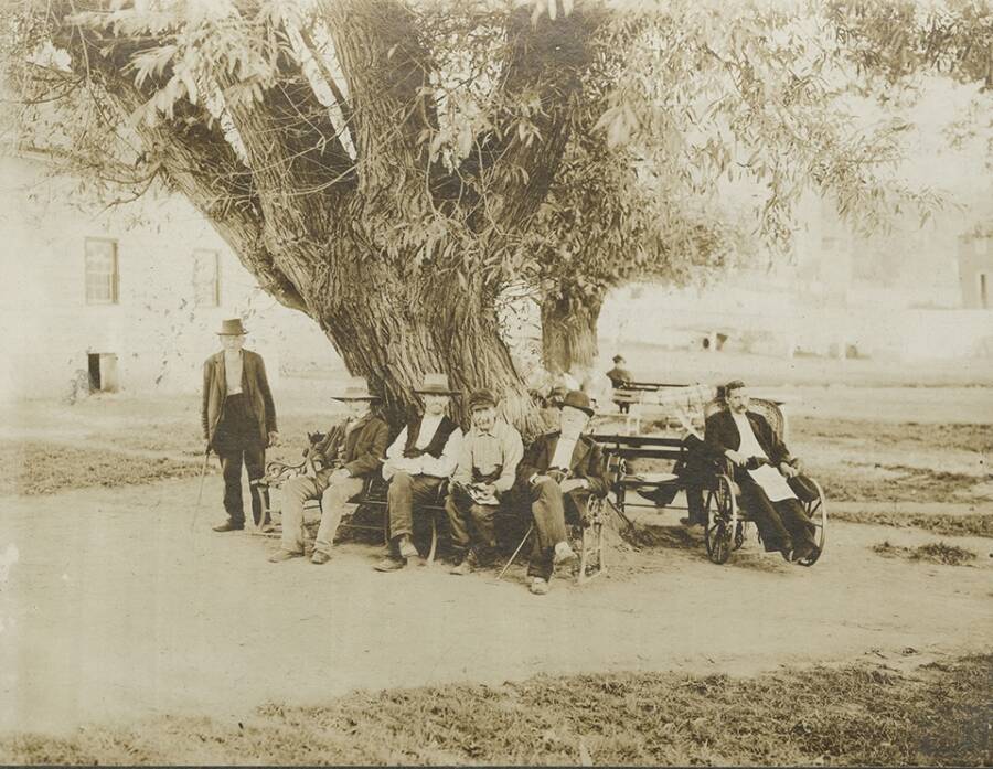 Hombre de la colonia agrícola de la ciudad de Nueva York