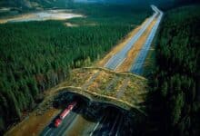 Wildlife Crossing: 25 increíbles puentes de animales de todo el mundo