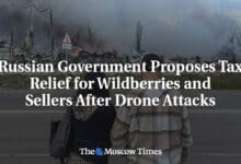 Despues de los ataques con aviones no tripulados el gobierno