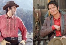 James Stacy: el ascenso y la caída de un querido actor occidental
