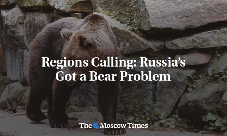 Llamamiento regional: Rusia se enfrenta al problema de los osos 1 Llamamiento regional Rusia se enfrenta al problema de los osos