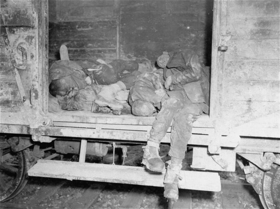 Venganza en Dachau: militares estadounidenses masacran a guardias de campos de concentración 2 Tren de la muerte de Dachau